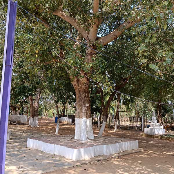 Hostel Block